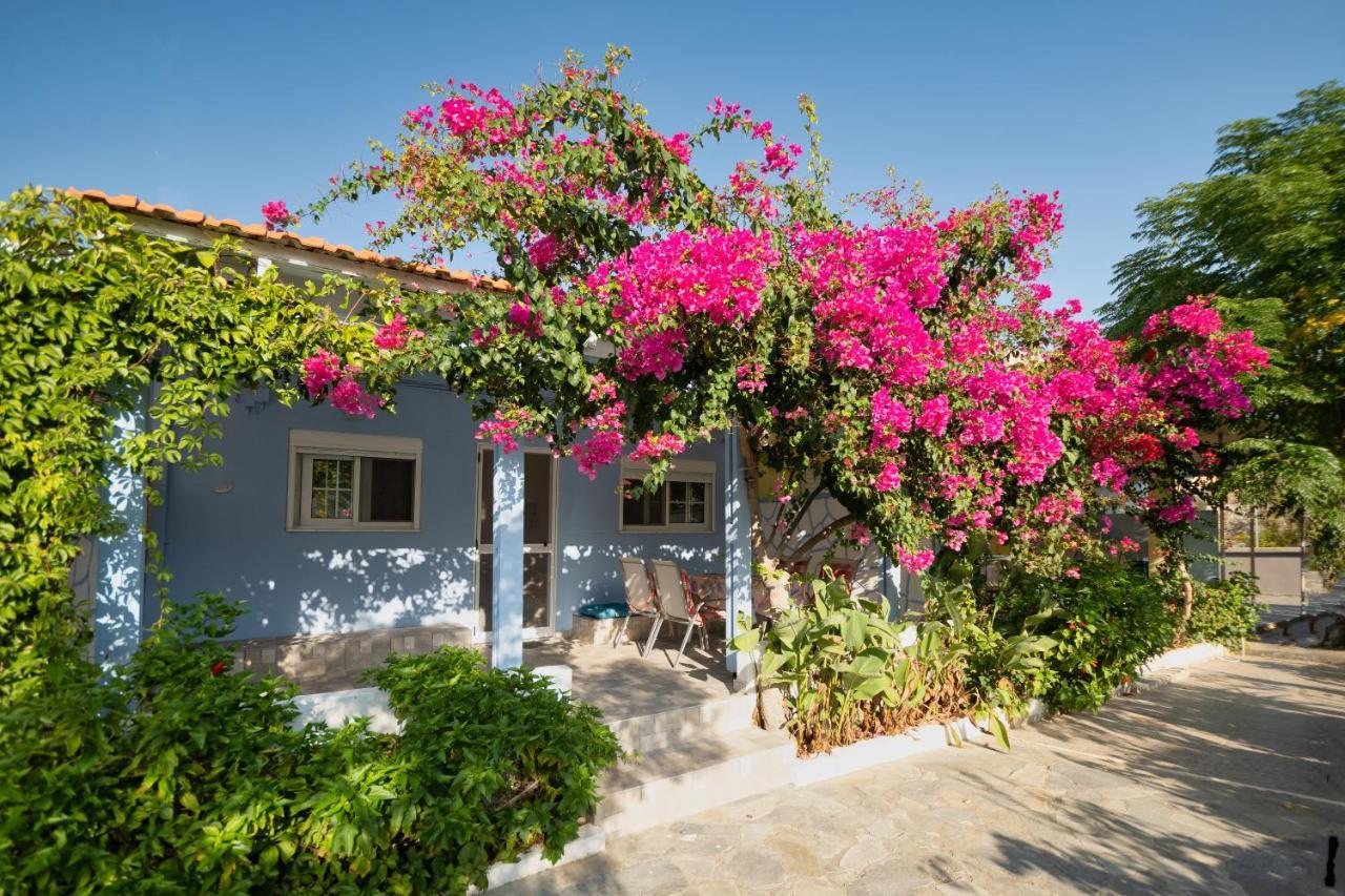 Salora Studio-Apartments Archangelos  Dış mekan fotoğraf