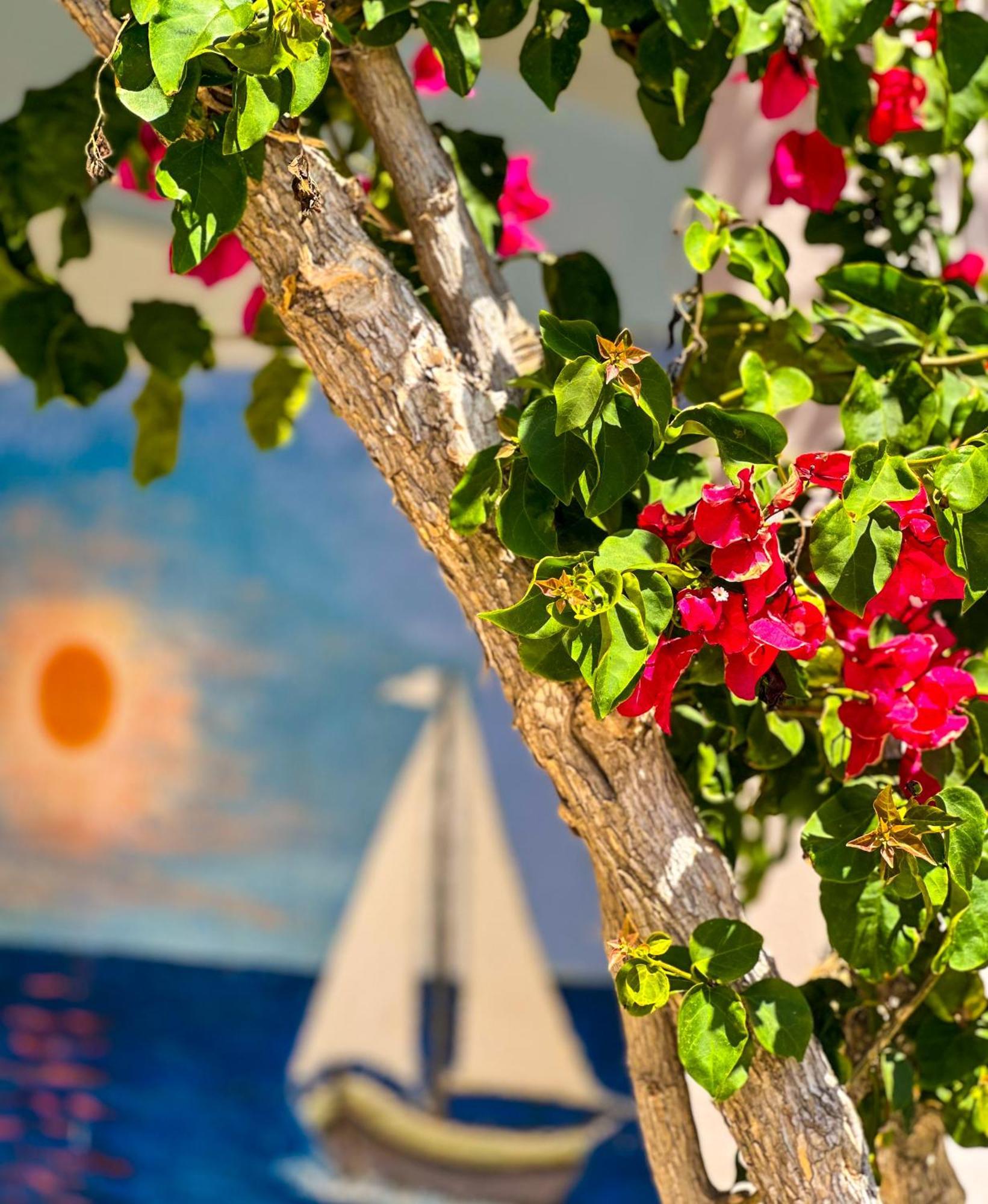 Salora Studio-Apartments Archangelos  Dış mekan fotoğraf