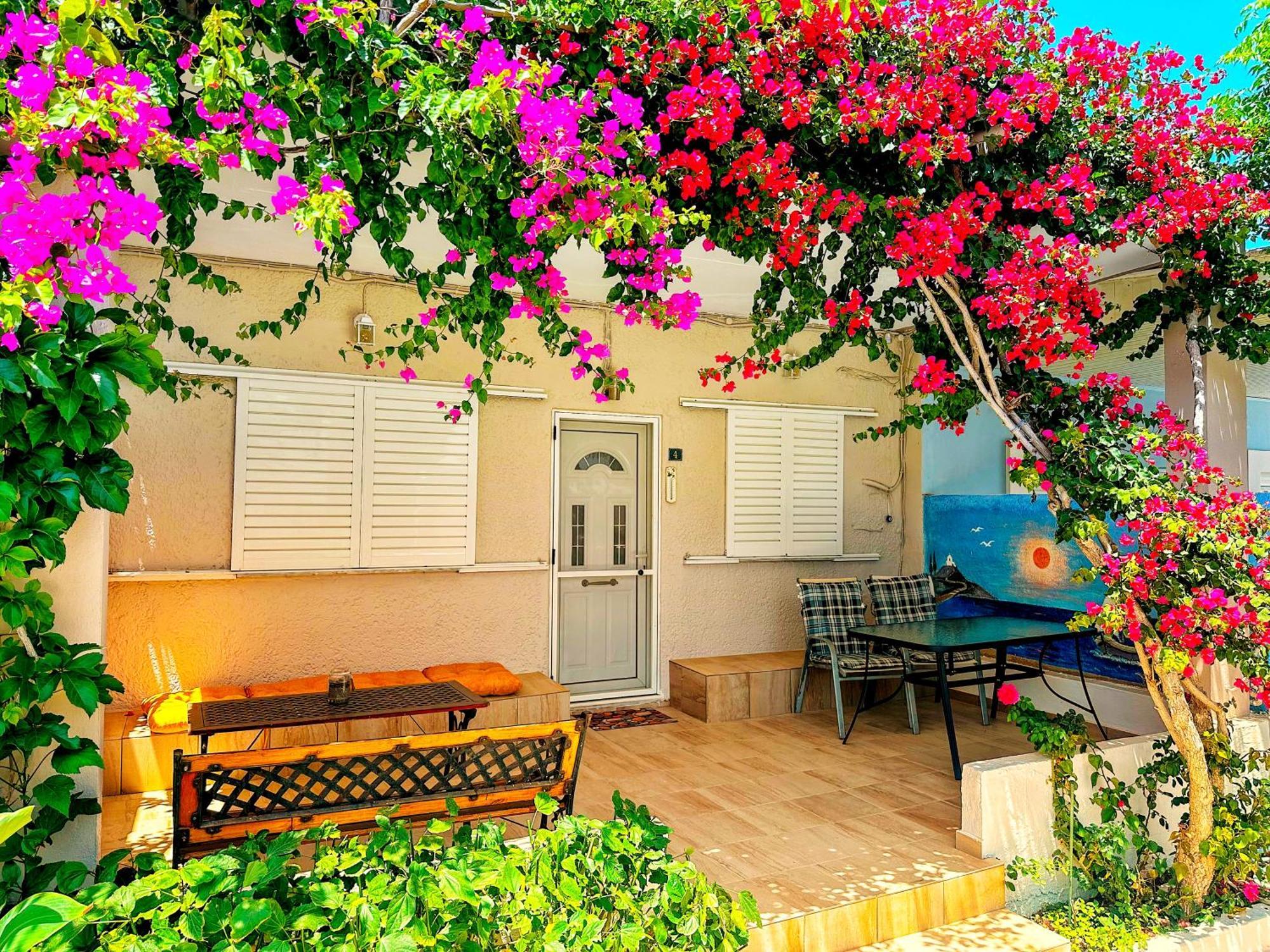 Salora Studio-Apartments Archangelos  Dış mekan fotoğraf